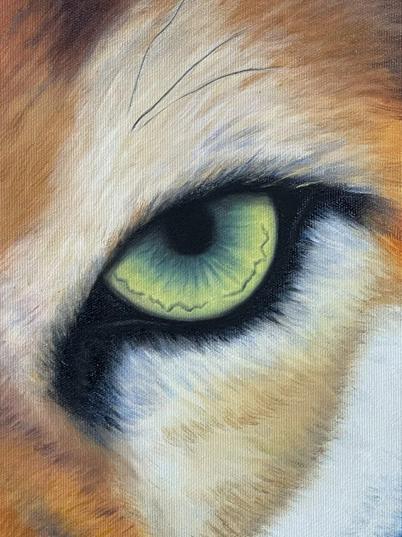 IMG_6328 (Large).JPEG