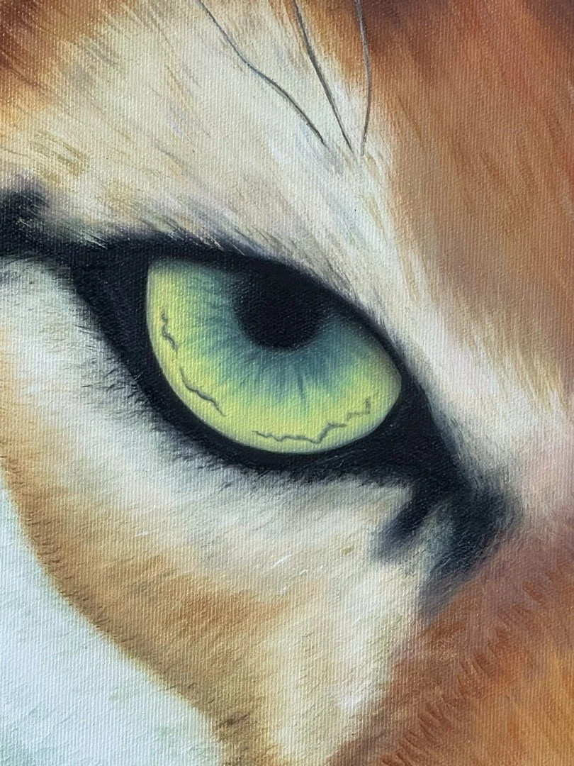 IMG_6329 (Large).JPEG