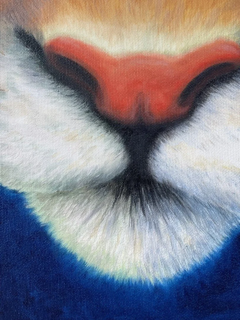 IMG_6333 (Large).JPEG