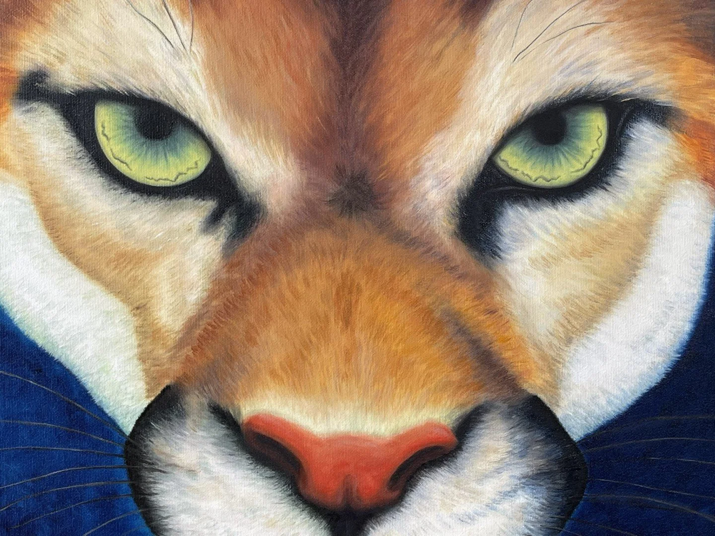 IMG_6334 (Large).JPEG