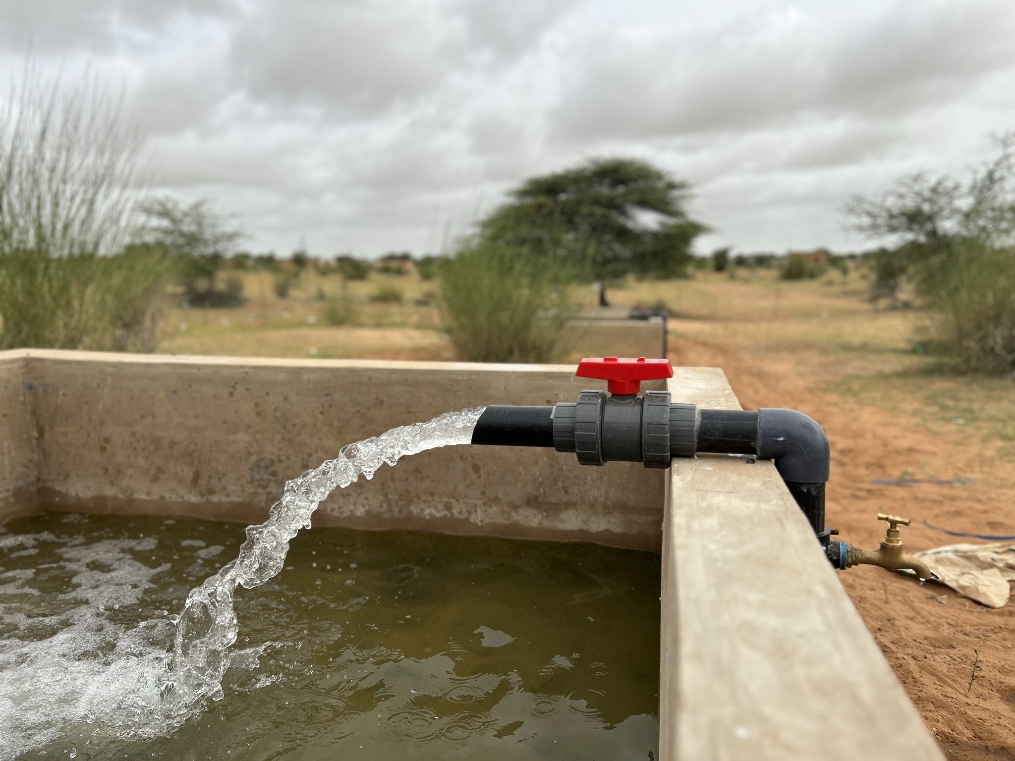 01_Clean fresh water flows from our new well in the Podor Tree Nursery.JPEG