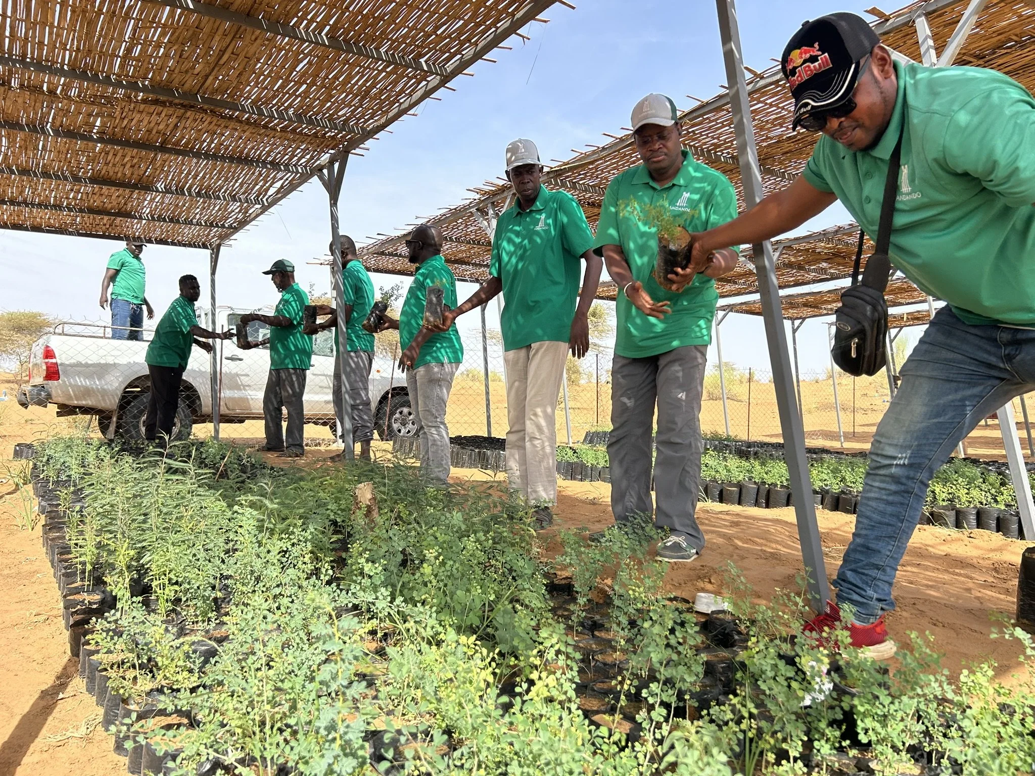 2_The team prepares saplings for a planting day in Togane.JPEG