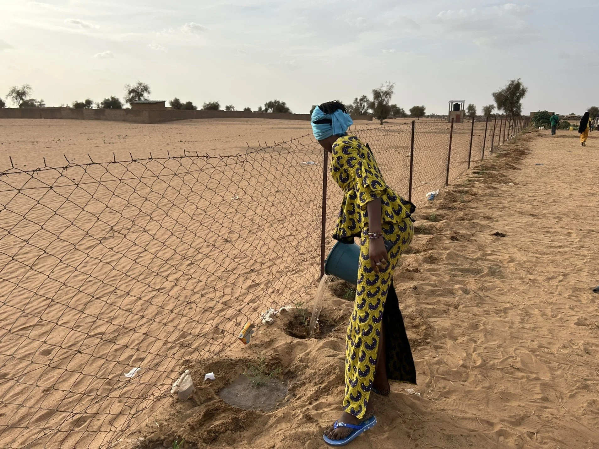 6_Togane garden member waters the trees.JPEG