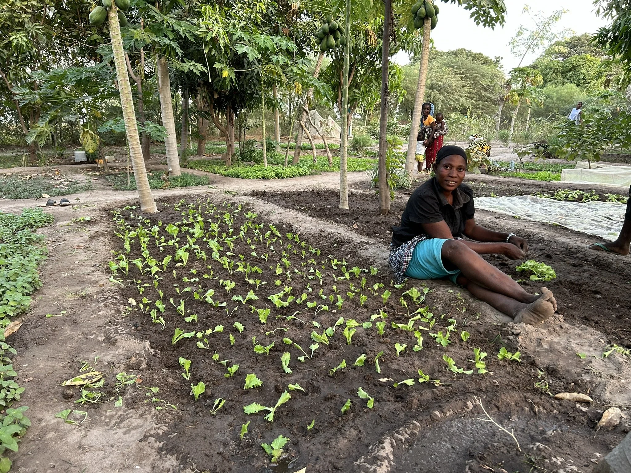 11_Keur Wack after just a few years.JPEG