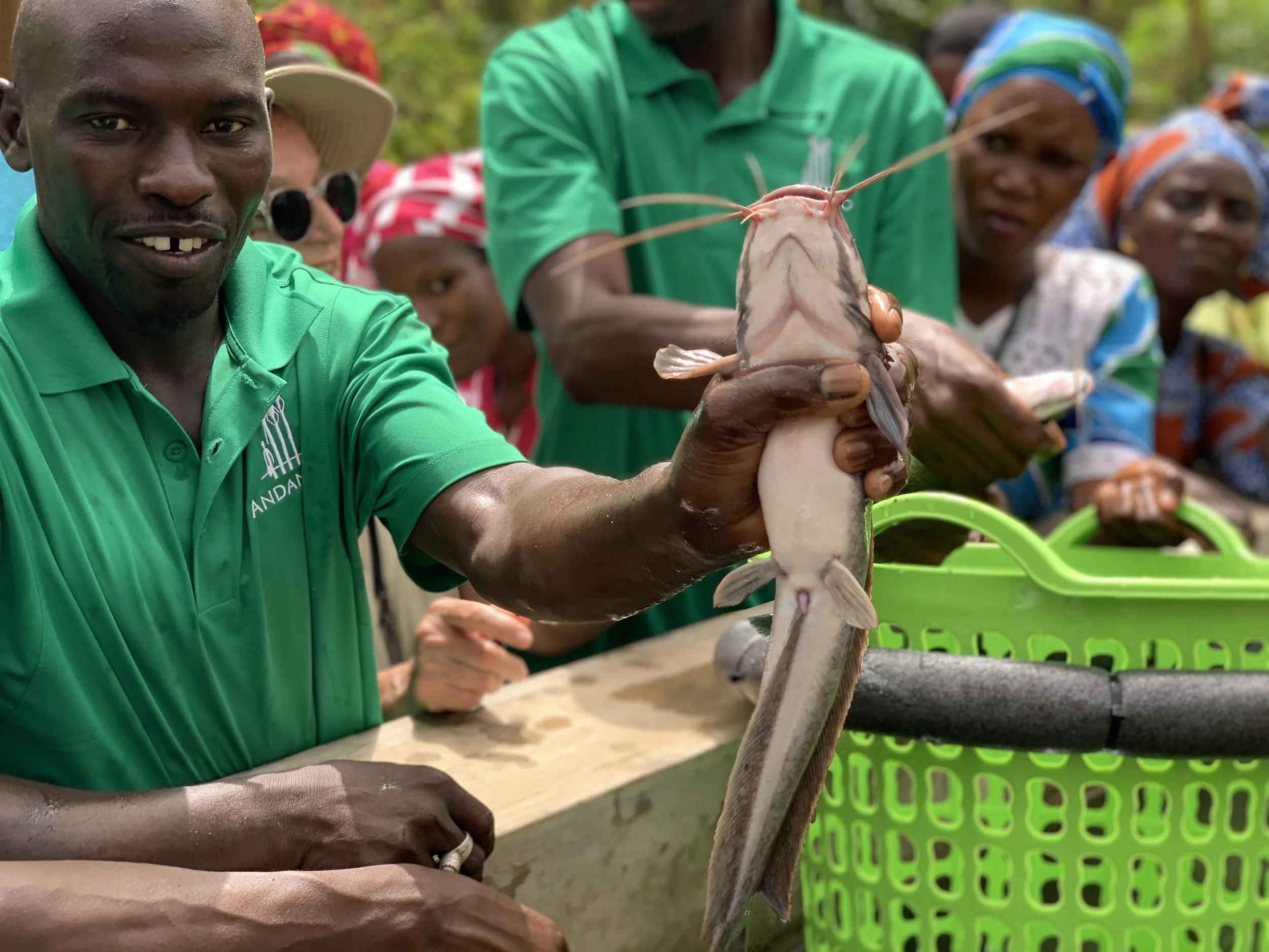 18_Fish sampling during our aquaculture training.JPEG