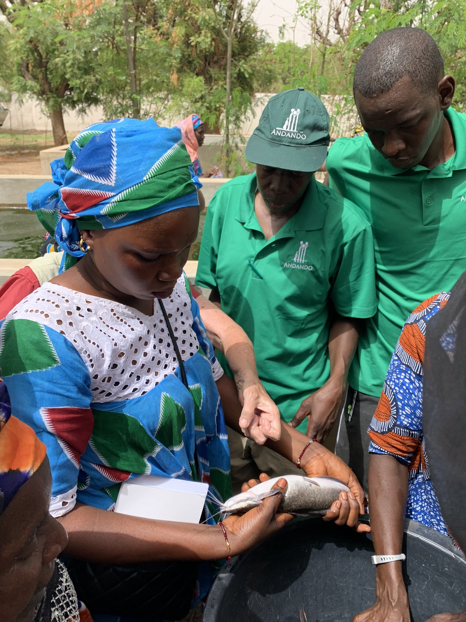 19_More fish sampling work.JPEG