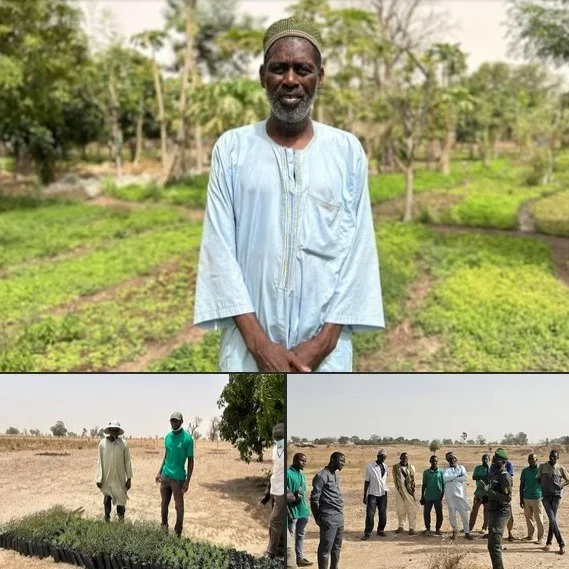 Trees and the Power to Stay: Changing rainfall patterns make farming in the Sahel increasingly unpredictable.  That is why we have expanded our tree production over the past two years, so farmers can plant trees alongside their field crops to natural