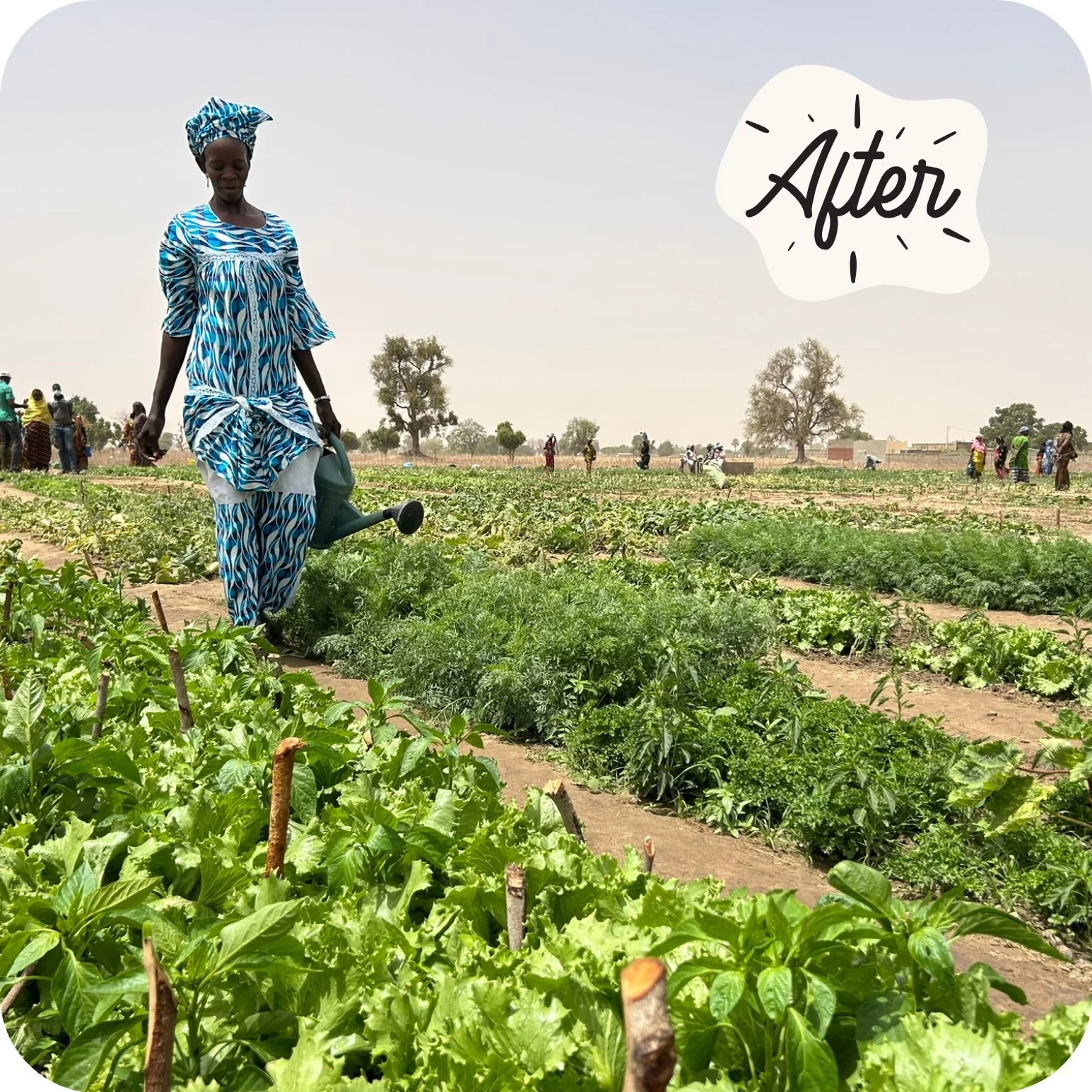 Want to maximize your end-of-year giving? �Stock donations, Qualified Charitable Distributions (QCD), and Donor Advised Funds (DAF) are great ways to maximize your giving. You can reduce your tax liability, and your gift will be included in our MATCH