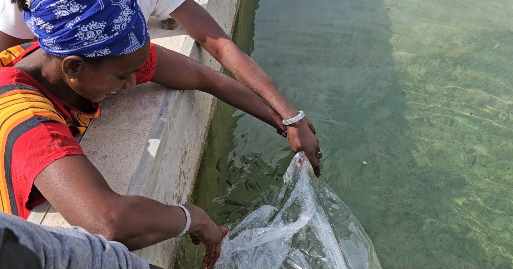 One of our favorite parts of this work is sharing success stories from projects we only just introduced to you. Development is often slow and tedious, but right now, Andando is building a level of momentum that is as encouraging as it is noteworthy.
