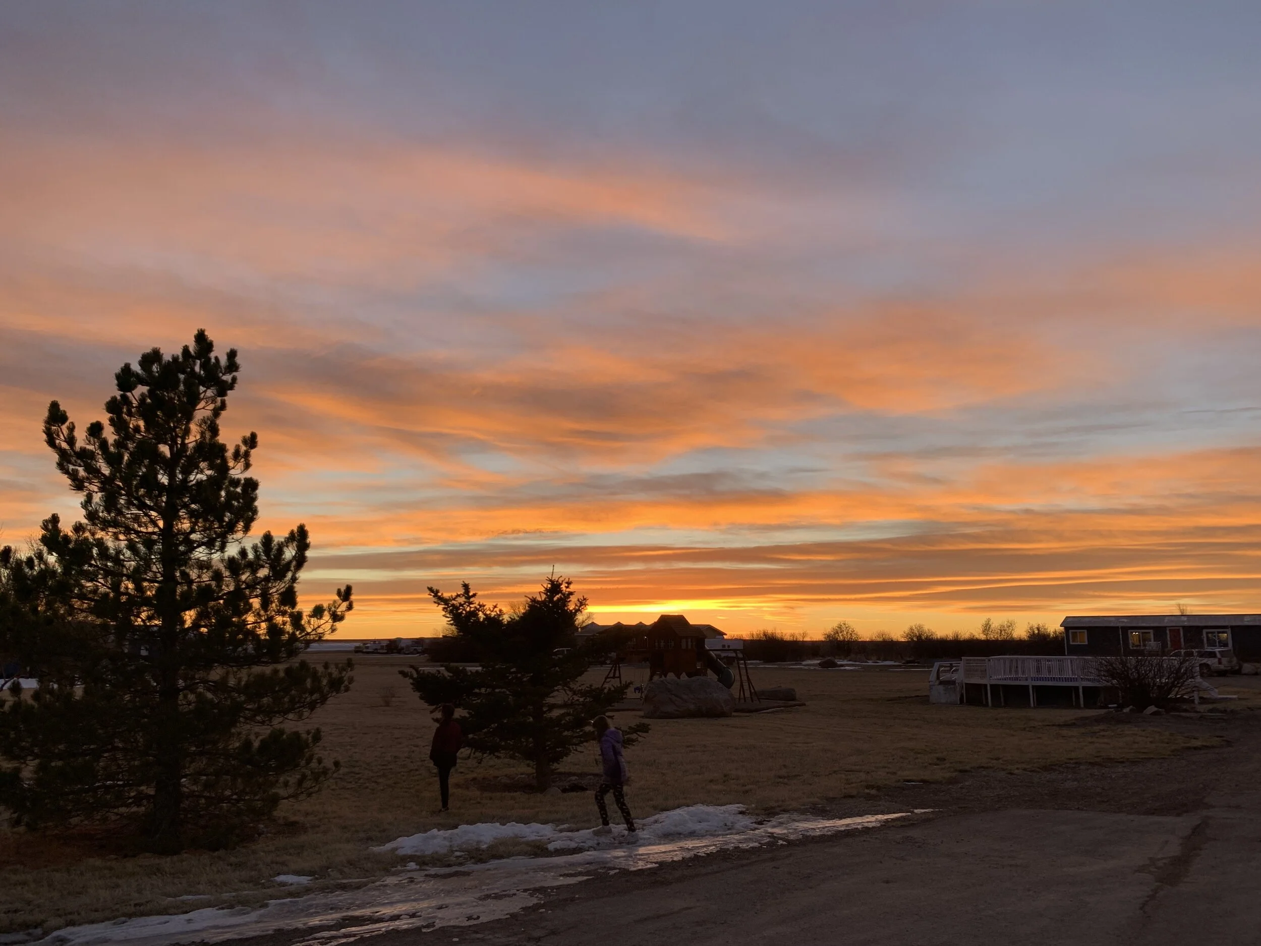 Fall & Winter Update 2020-21