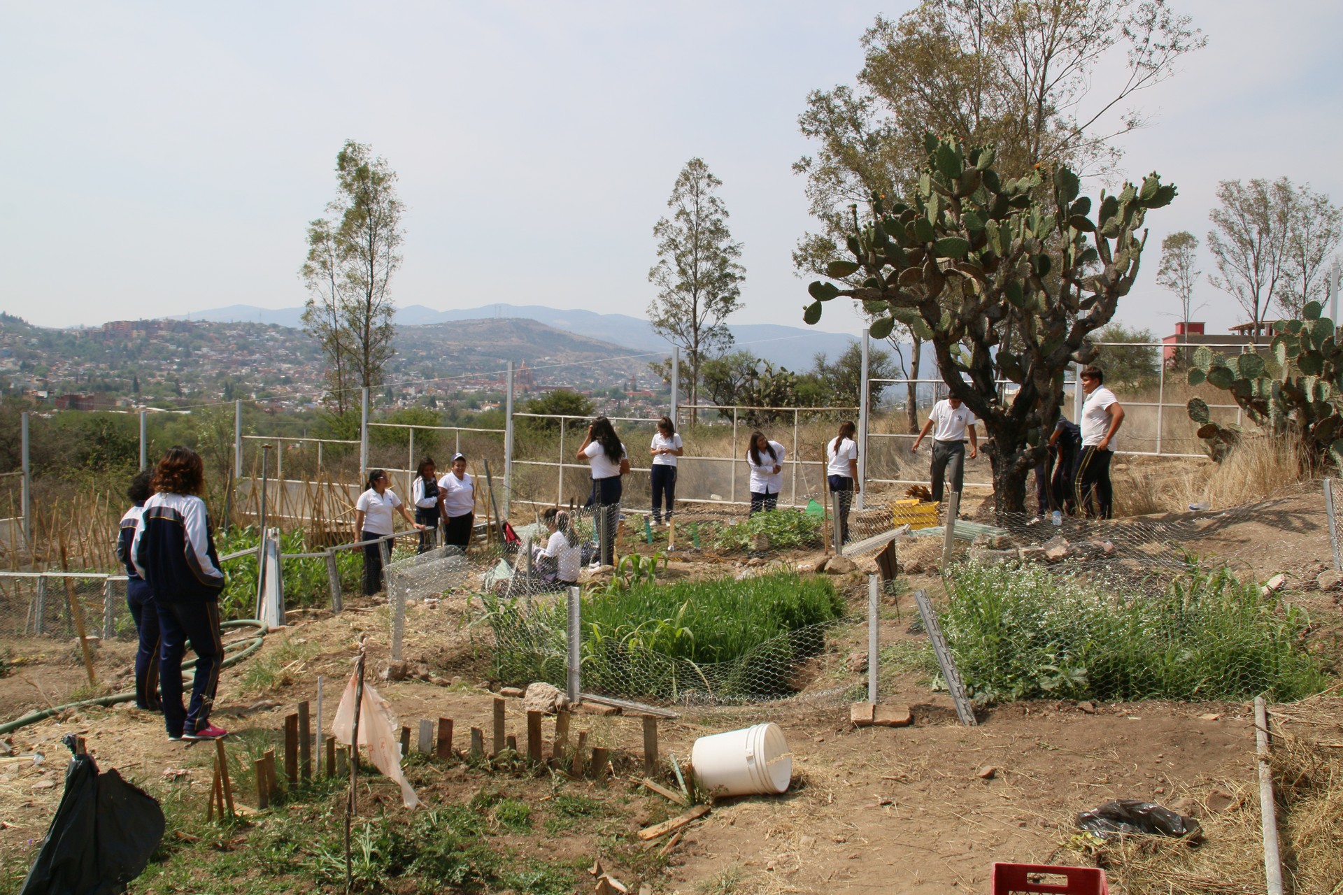 Los estudiantes trabajan en los jardines escolares cercanos.