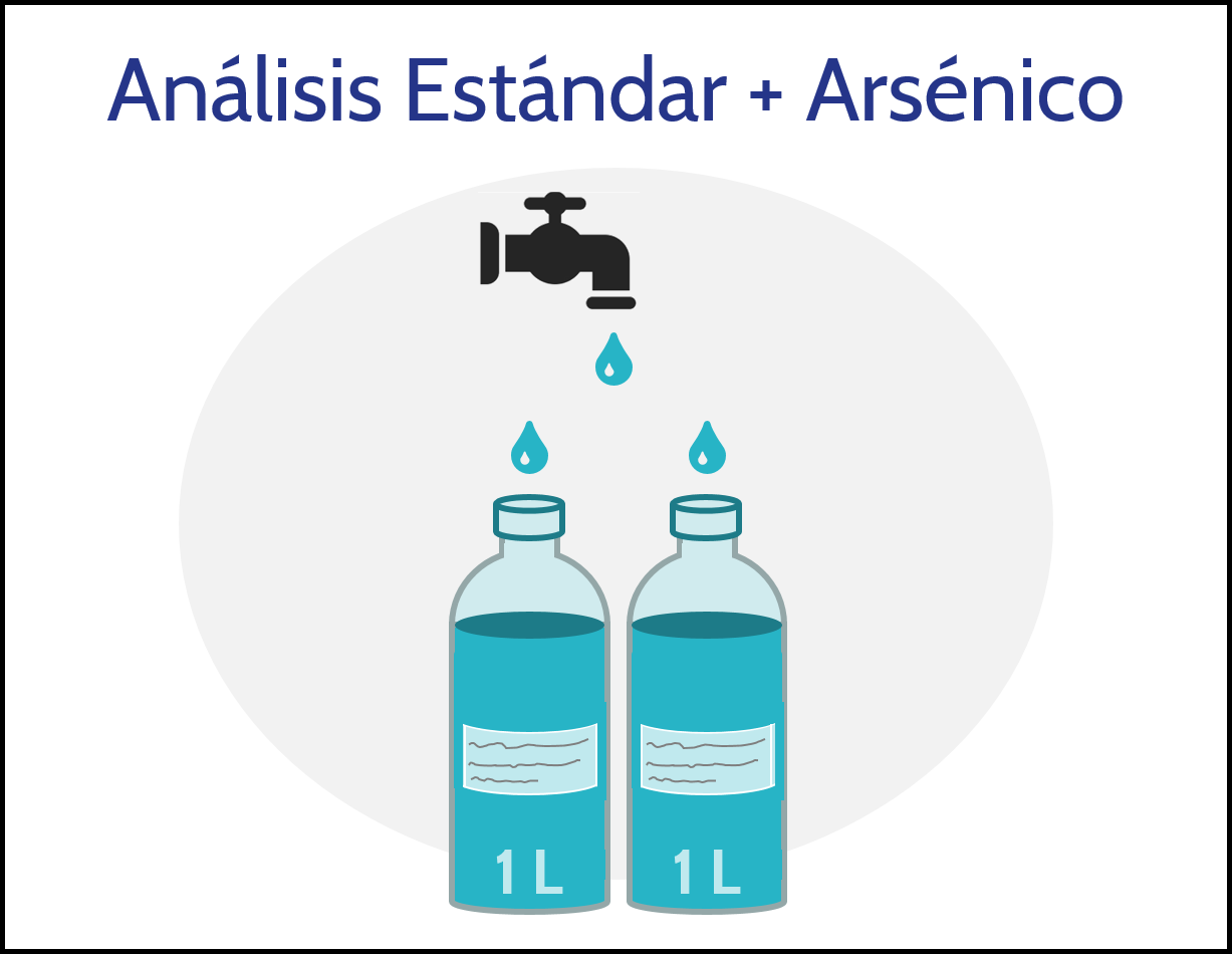 Coll_StandardAr_v1_ES.png