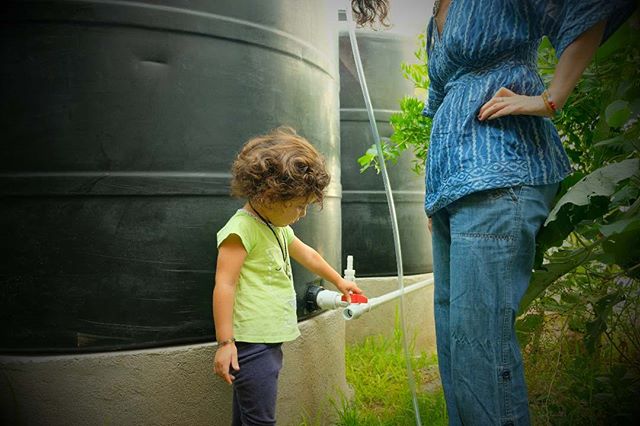 The staff has completed a rainwater harvesting system in our new office. We hope this serves as a model to demonstrate that urban rainwater capture is possible -- and practical.

Nuestro equipo ha terminado de construir un sistema de captaci&oacute;n