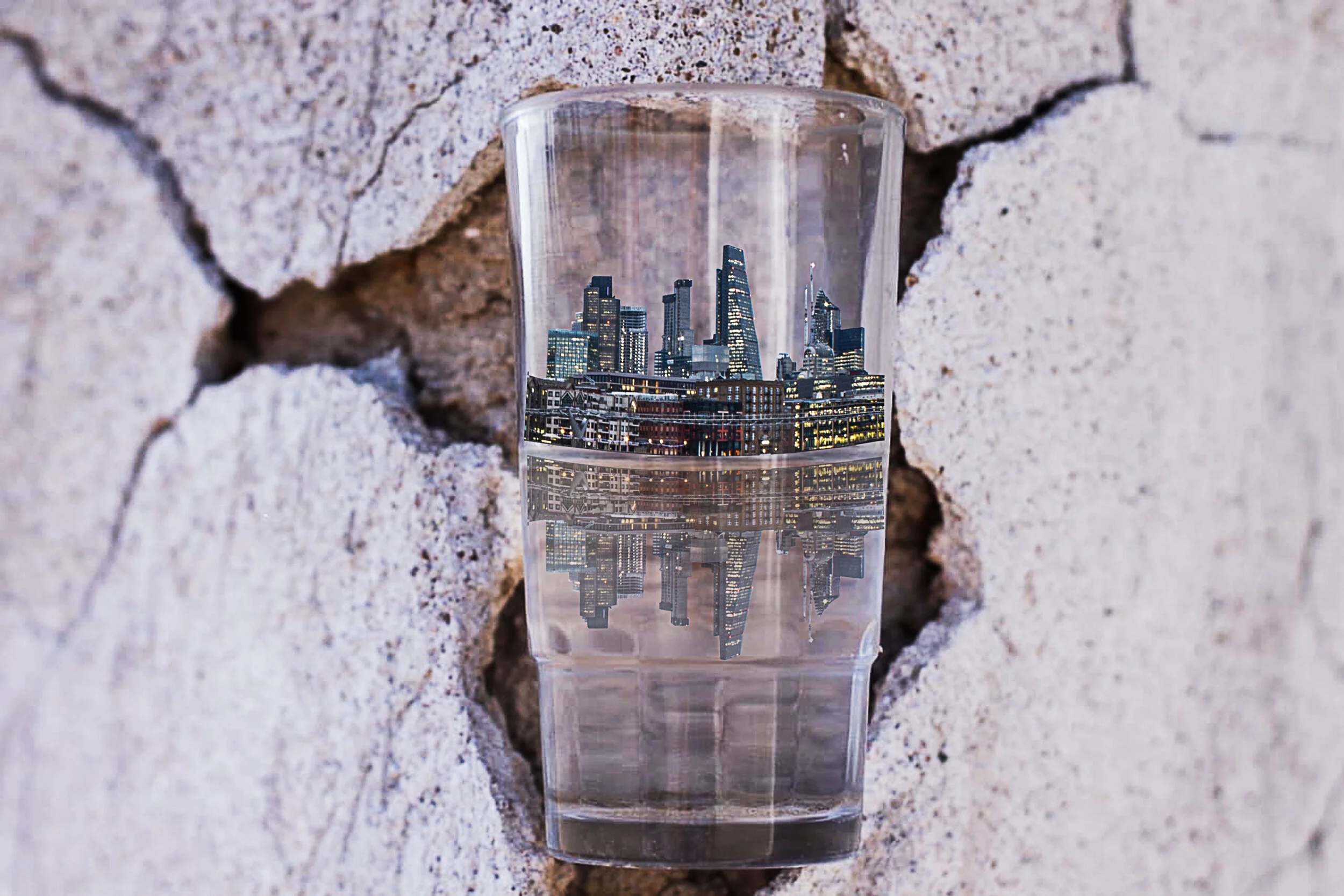 Virtual Talk| Toward the Natural City: Implementing Water Solutions for the Future