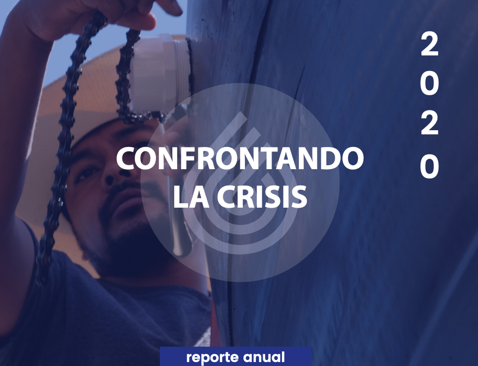 Confrontando la crisis: reporte anual 2020
