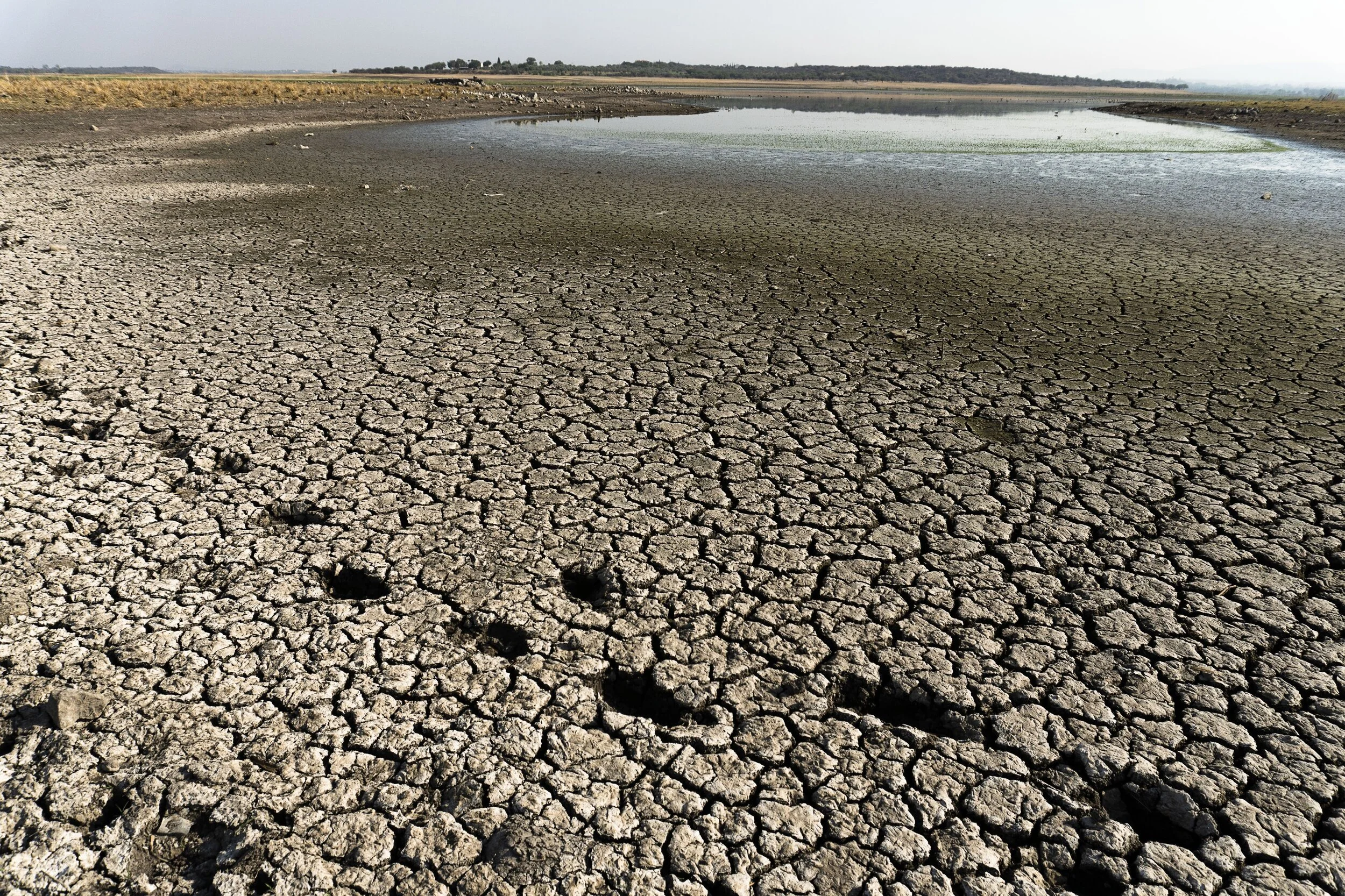 Foto: La Presa Allende, fotografiada en abril 2021, está lo más seca que ha estado en año, debido en gran medida a los efectos de sequía exacerbada por el cambio climático.