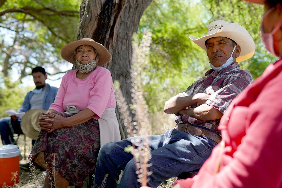Las lluvias están aquí, ¡captemos tanta agua de lluvia como podamos!