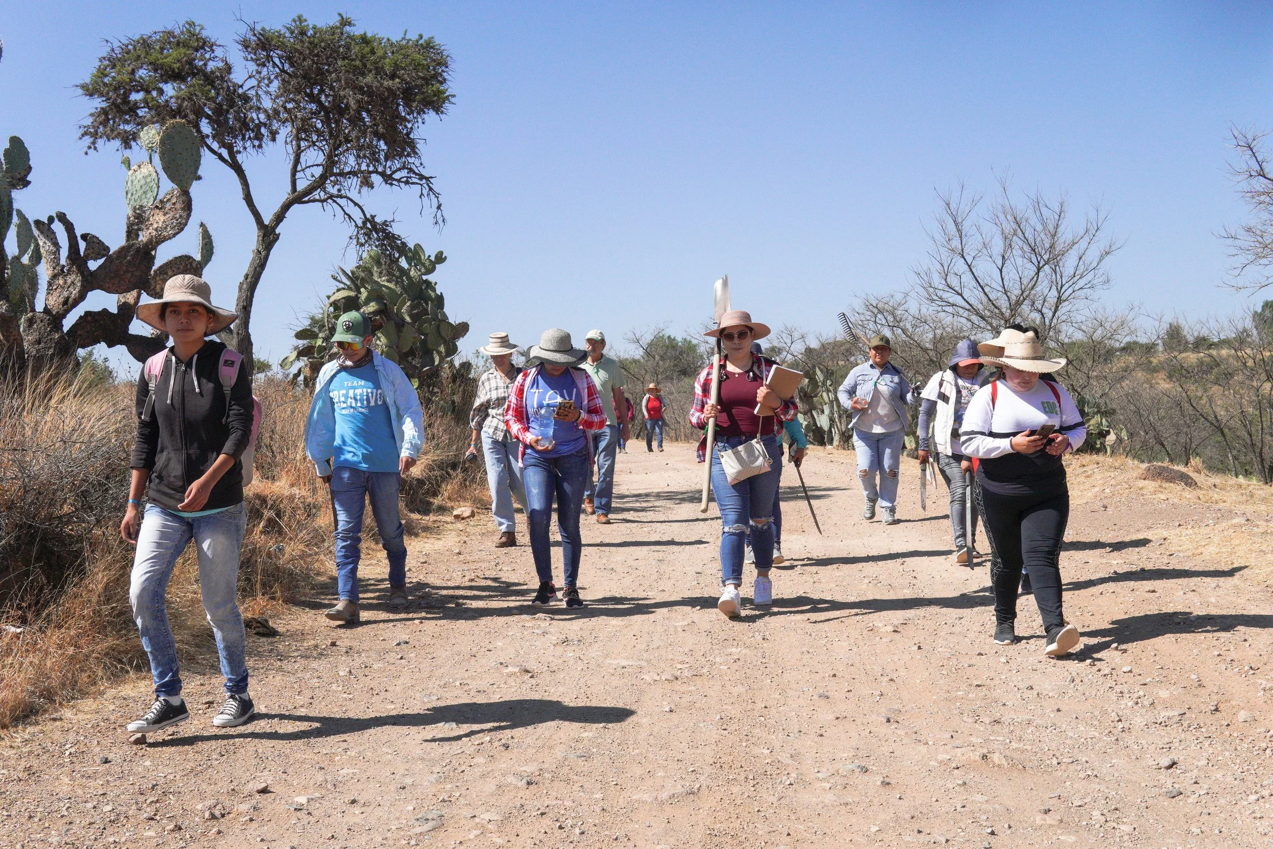 Escuela viva; un modo de Caminar.