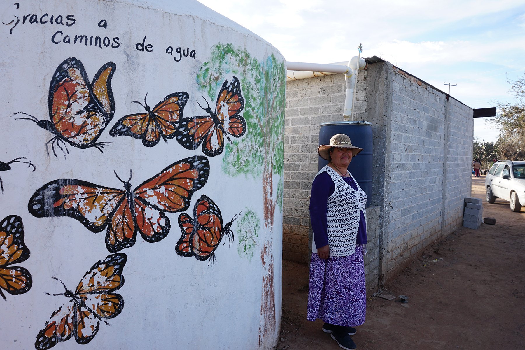 Parte 2: Los impactos de nuestra crisis hídrica