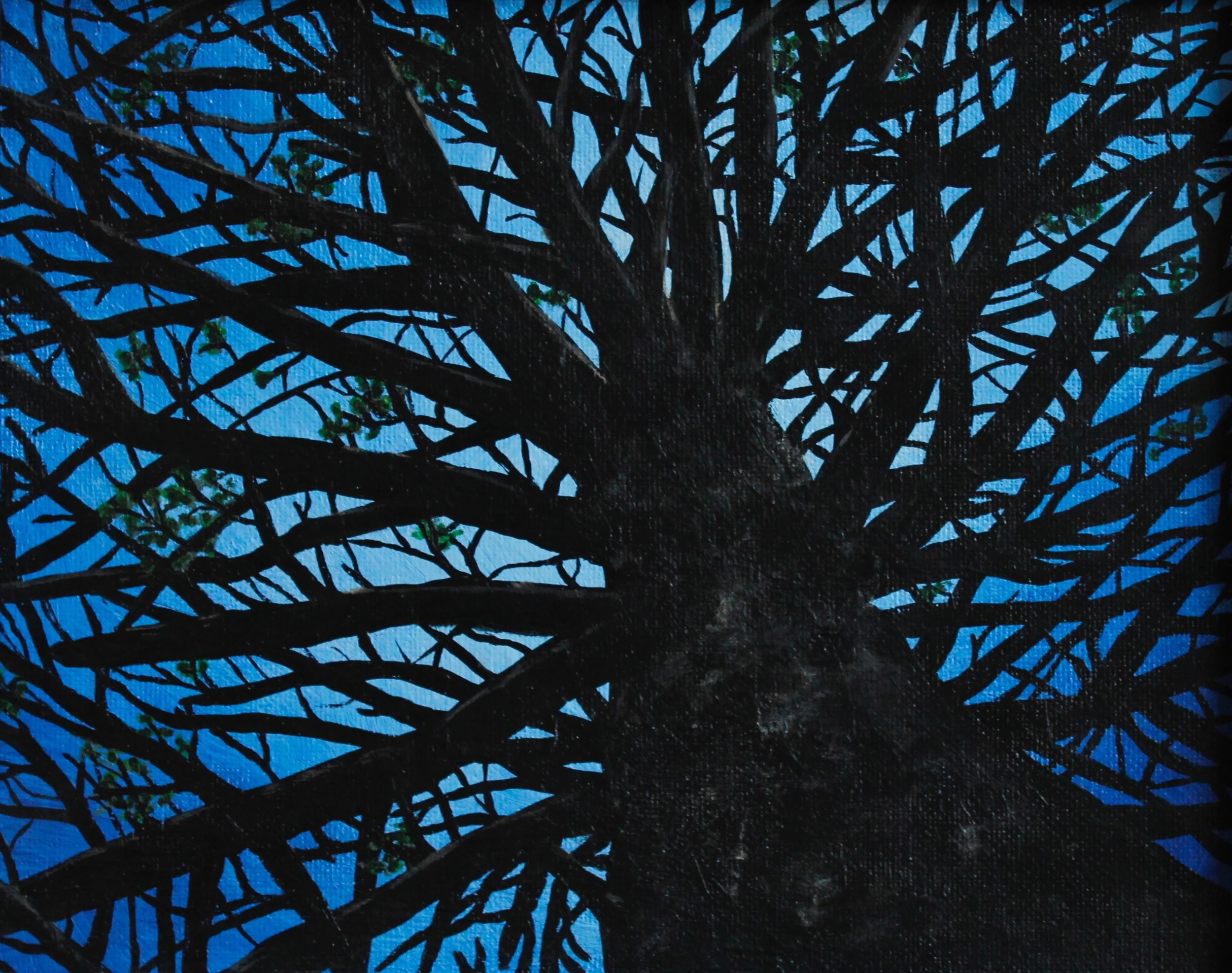 Tree Light