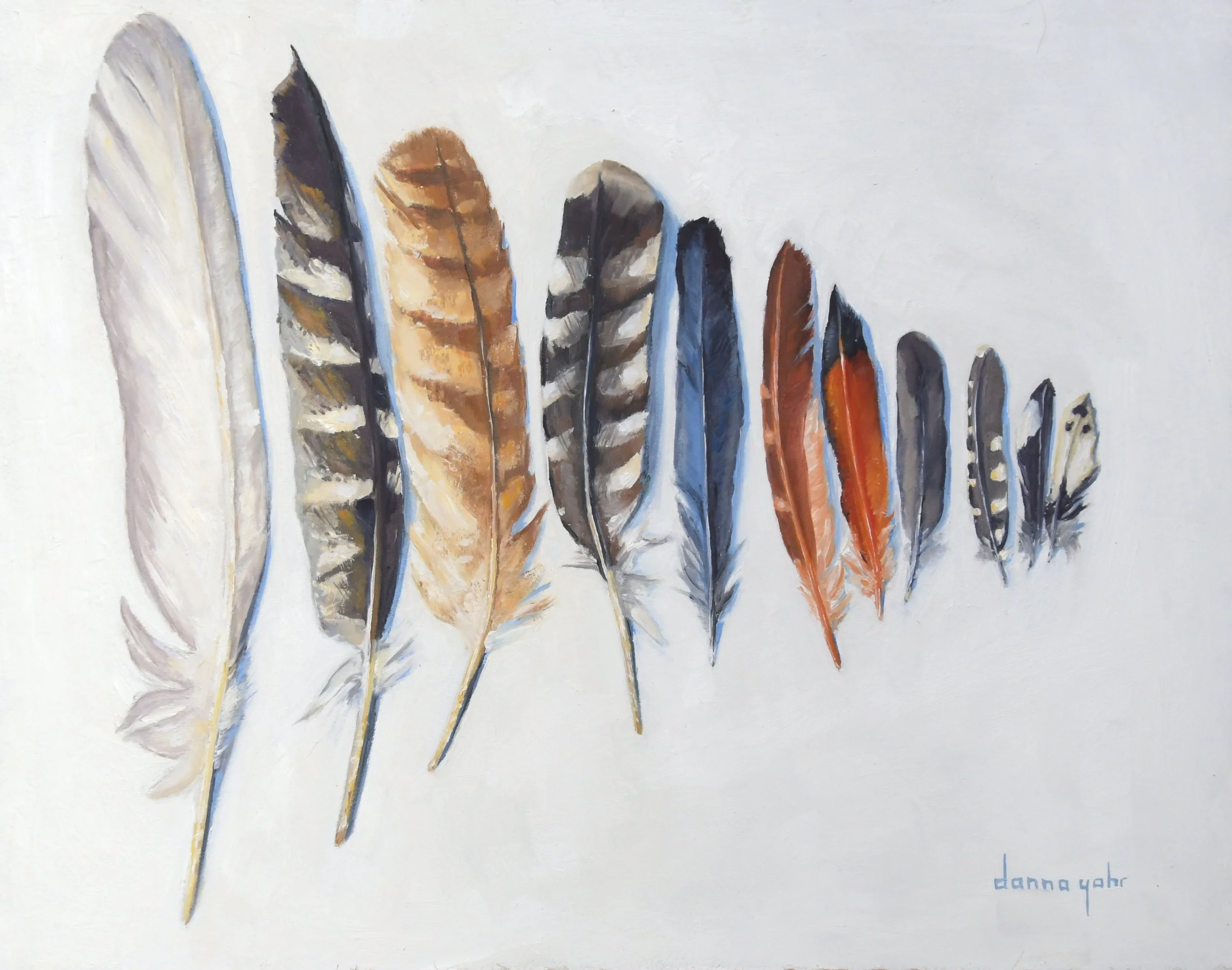 feather collection