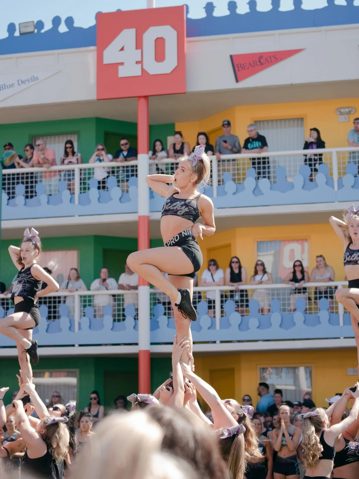 The newest Silky Sharks fan 🙋🏼&zwj;♀️ SO GOOD!!