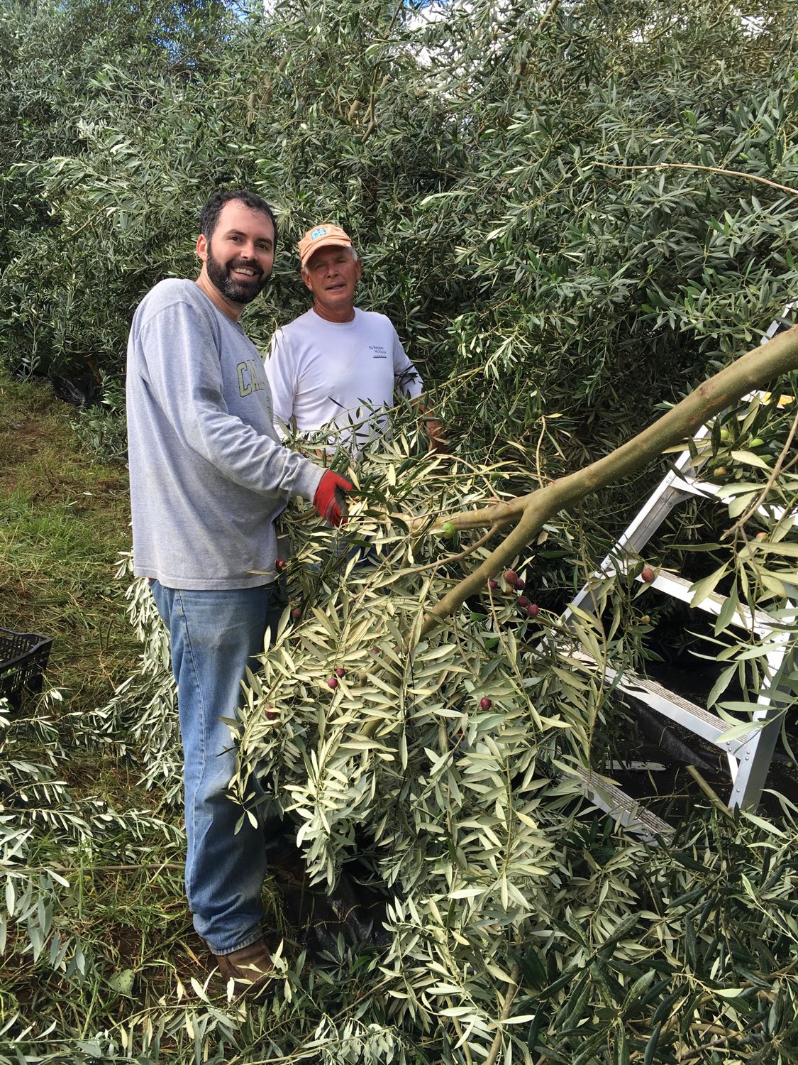 It's Harvest Time