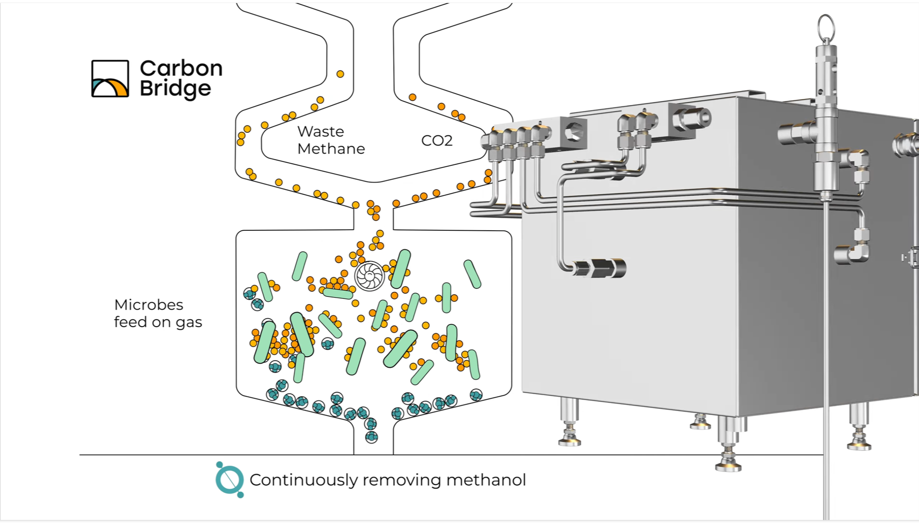 Turn waste gas into green fuel - biofuels by CarbonBridge