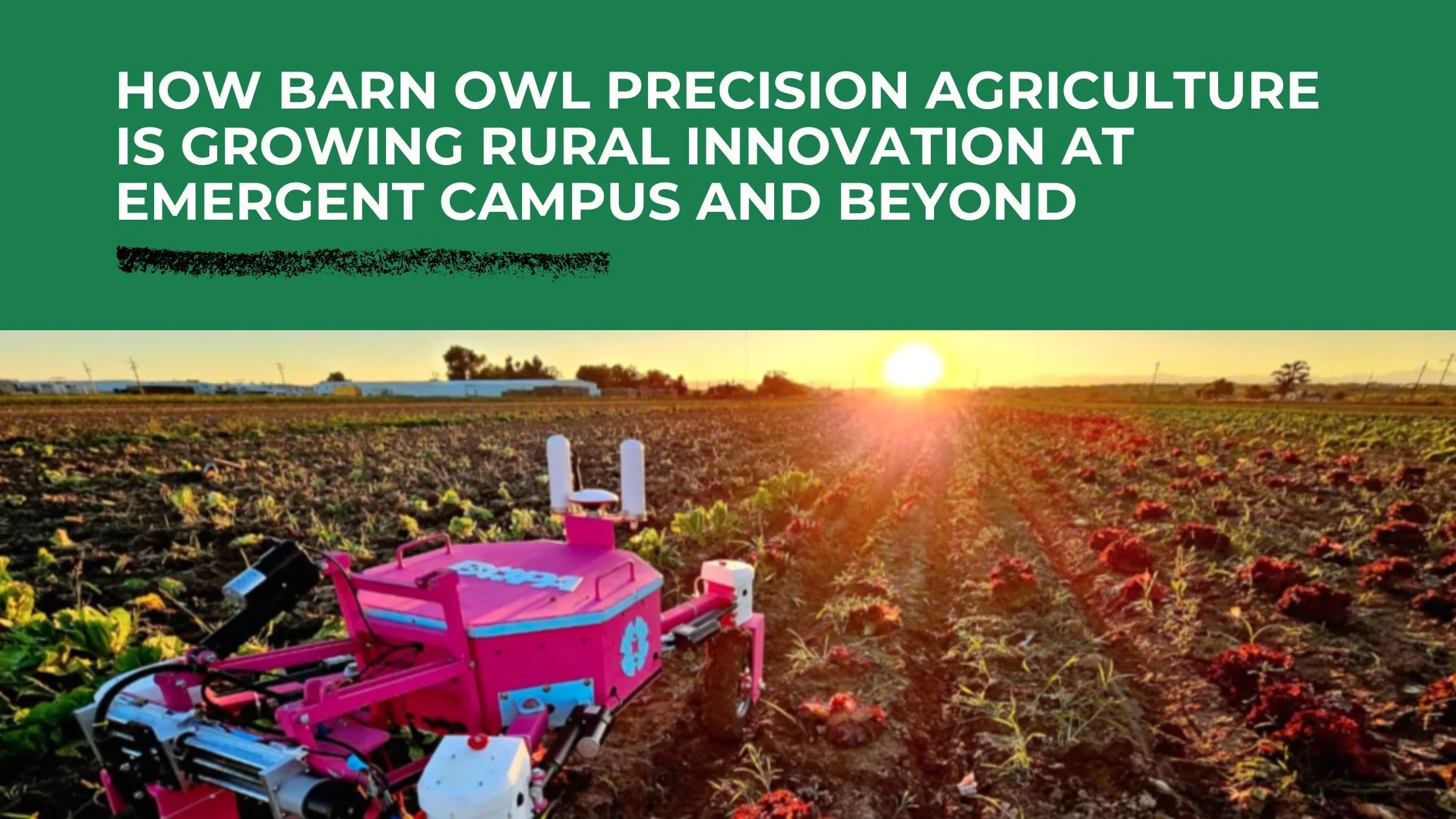 How Barn Owl Precision Agriculture Is Growing Rural Innovation at Emergent Campus and Beyond