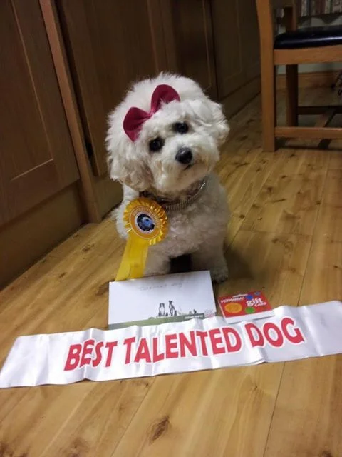 Cheeky Dog Bakery - Happy Canine Customers