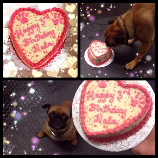 Cheeky Dog Bakery - Happy Canine Customers