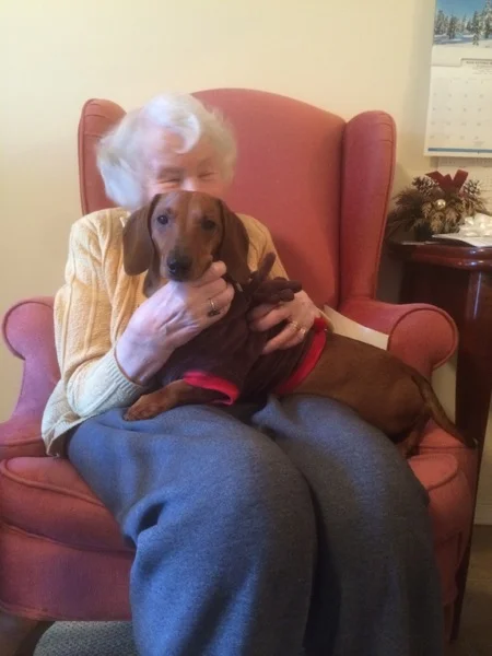 Cheeky Dog Bakery Blog - Cheeky Dog Adventures