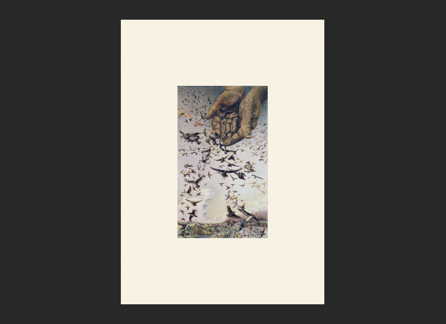 AGS-D5-2-M P.png