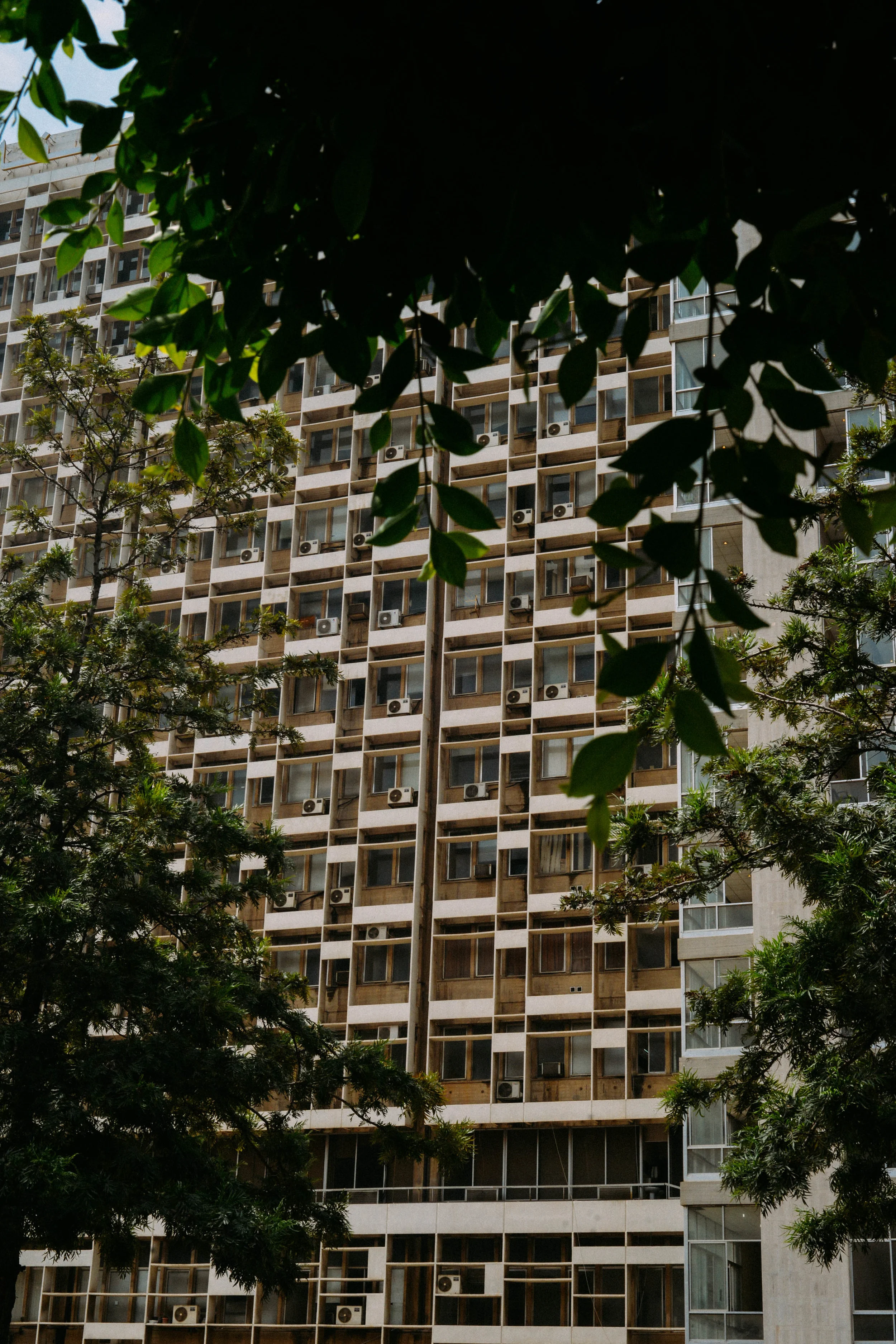 DSC_0073.jpg