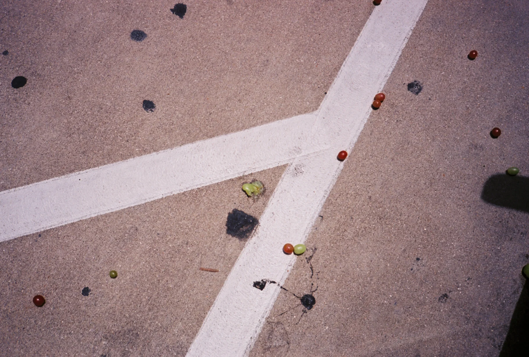 0001839_0001839-R1-049-23.jpg