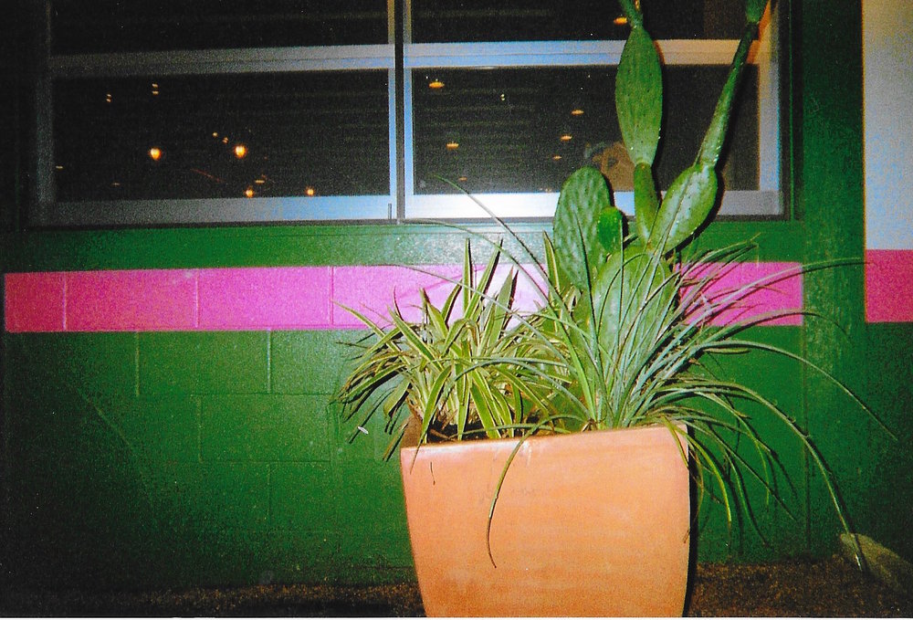 SCAN0005.jpeg