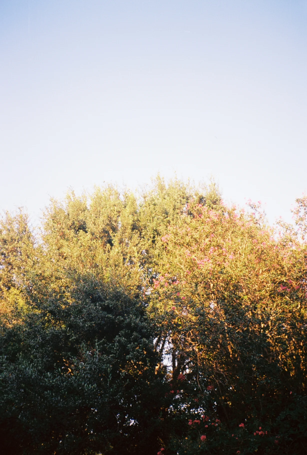 0001839_0001839-R1-003-0.jpg