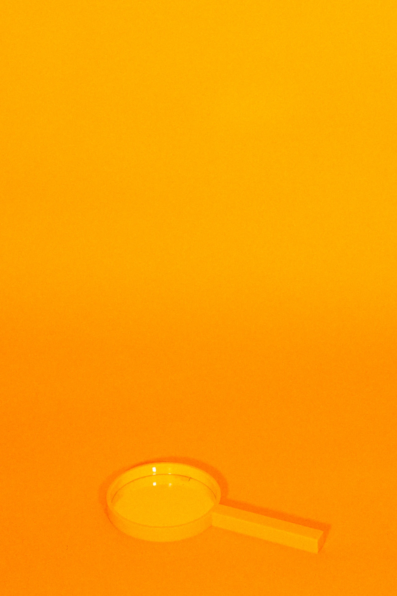 DSC_1430.jpg