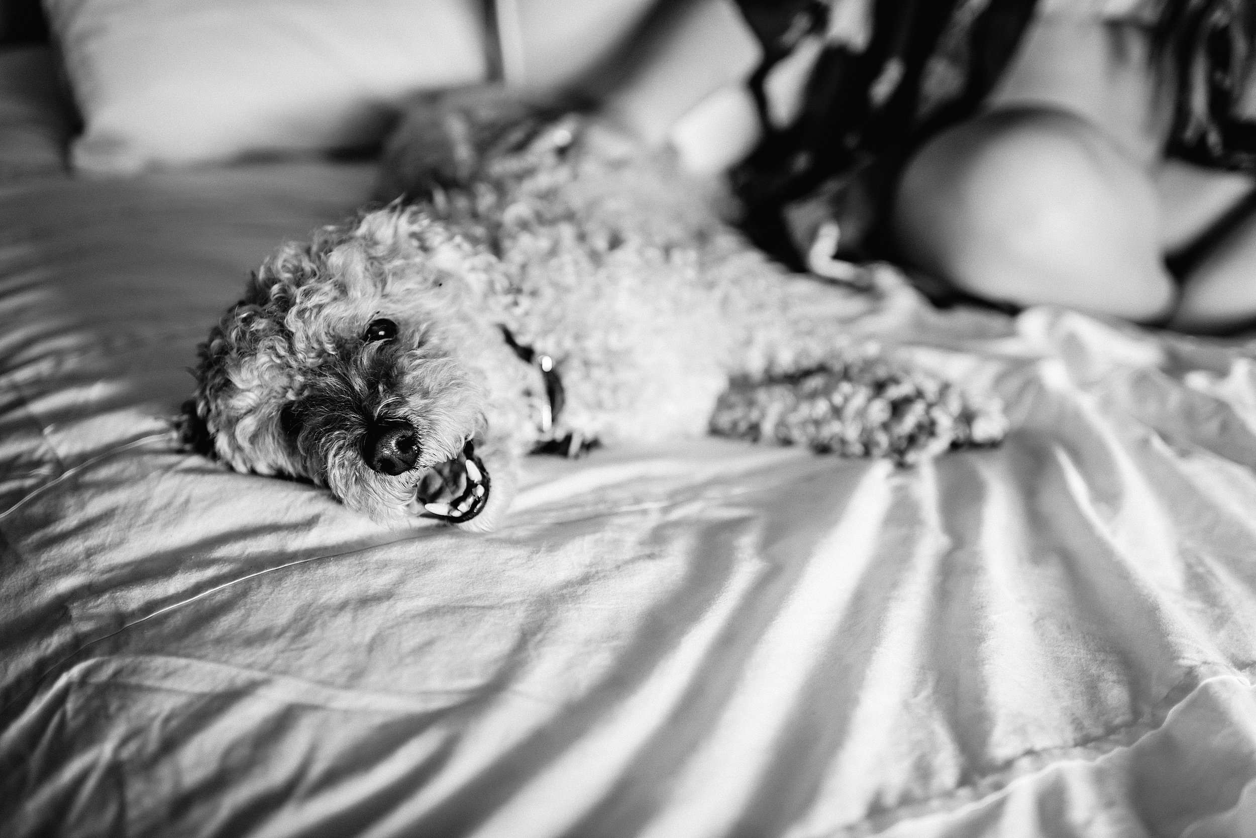 jenna-domer-maternity-lauren-grayson-photography-13.jpg