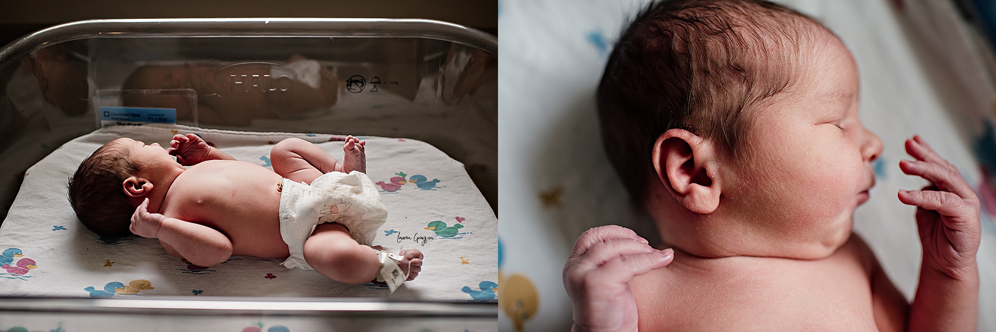 akron photographer, newborn session, lauren grayson fresh 48 family hospital baby photos