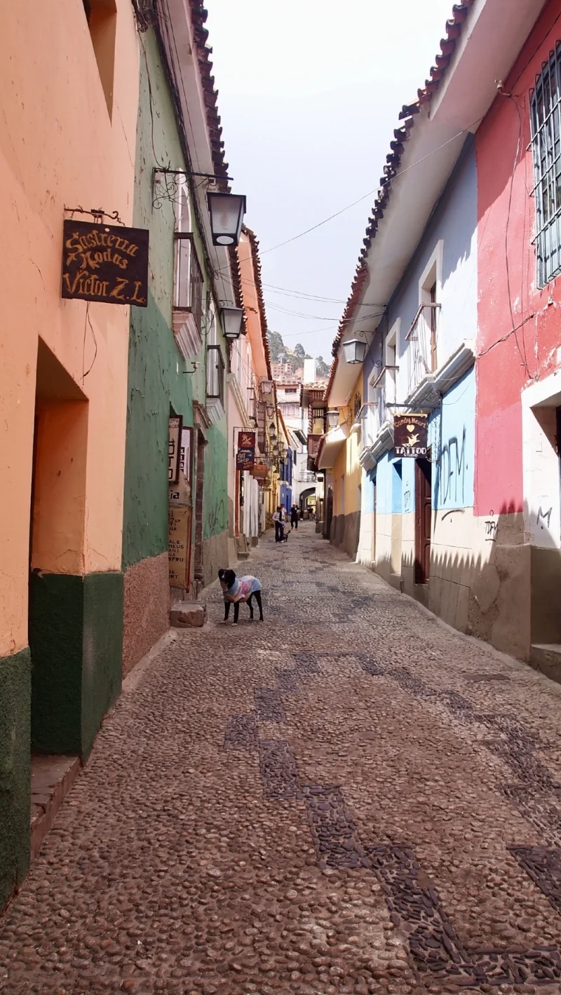 Is its just me, or does this dogs jacket match the houses? ( Calle Jaen,&nbsp;La Paz, Bolivia )