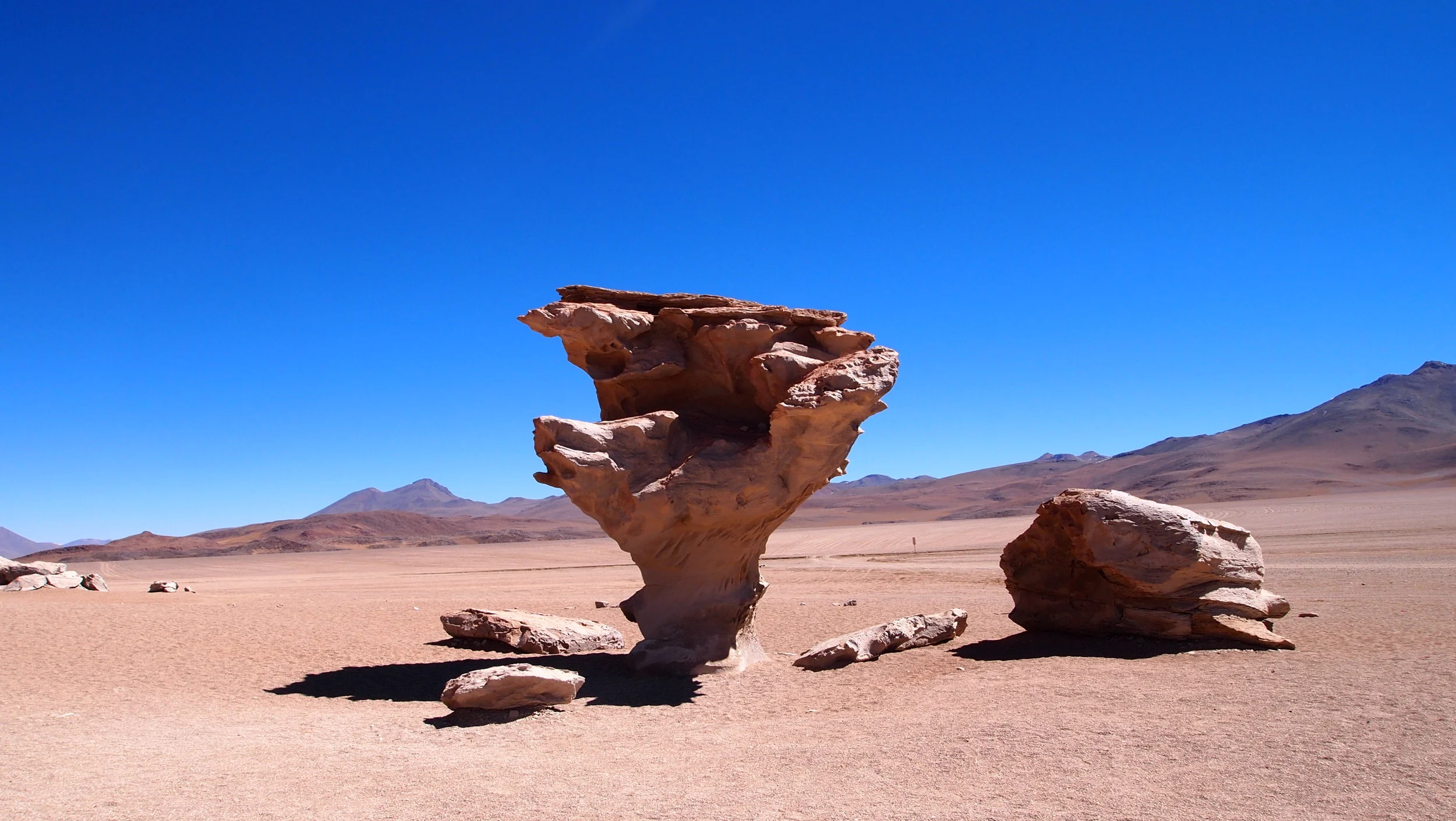 Hi there, Piedra de Arbol ( Eduardo Avaroa Andean Fauna National Reserve,&nbsp;Sur Lípez Province, Bolivia )