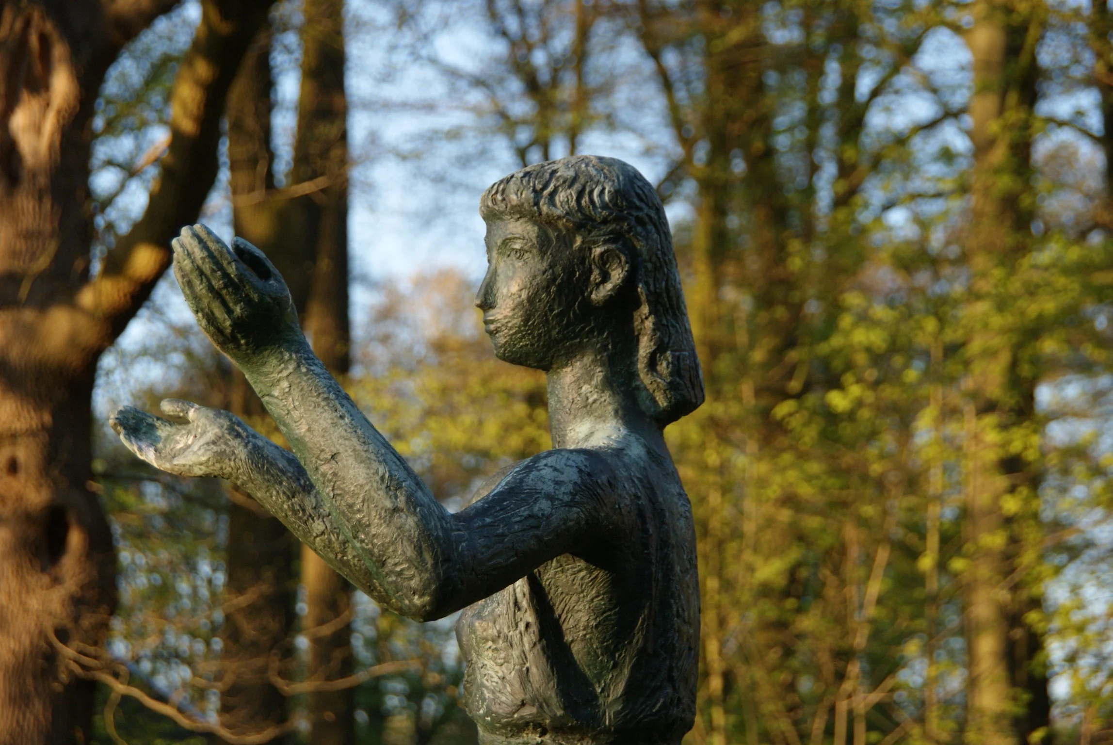 DSC05519.jpg
