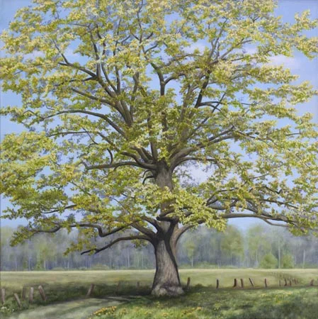 Lente in Epse web klein.jpg