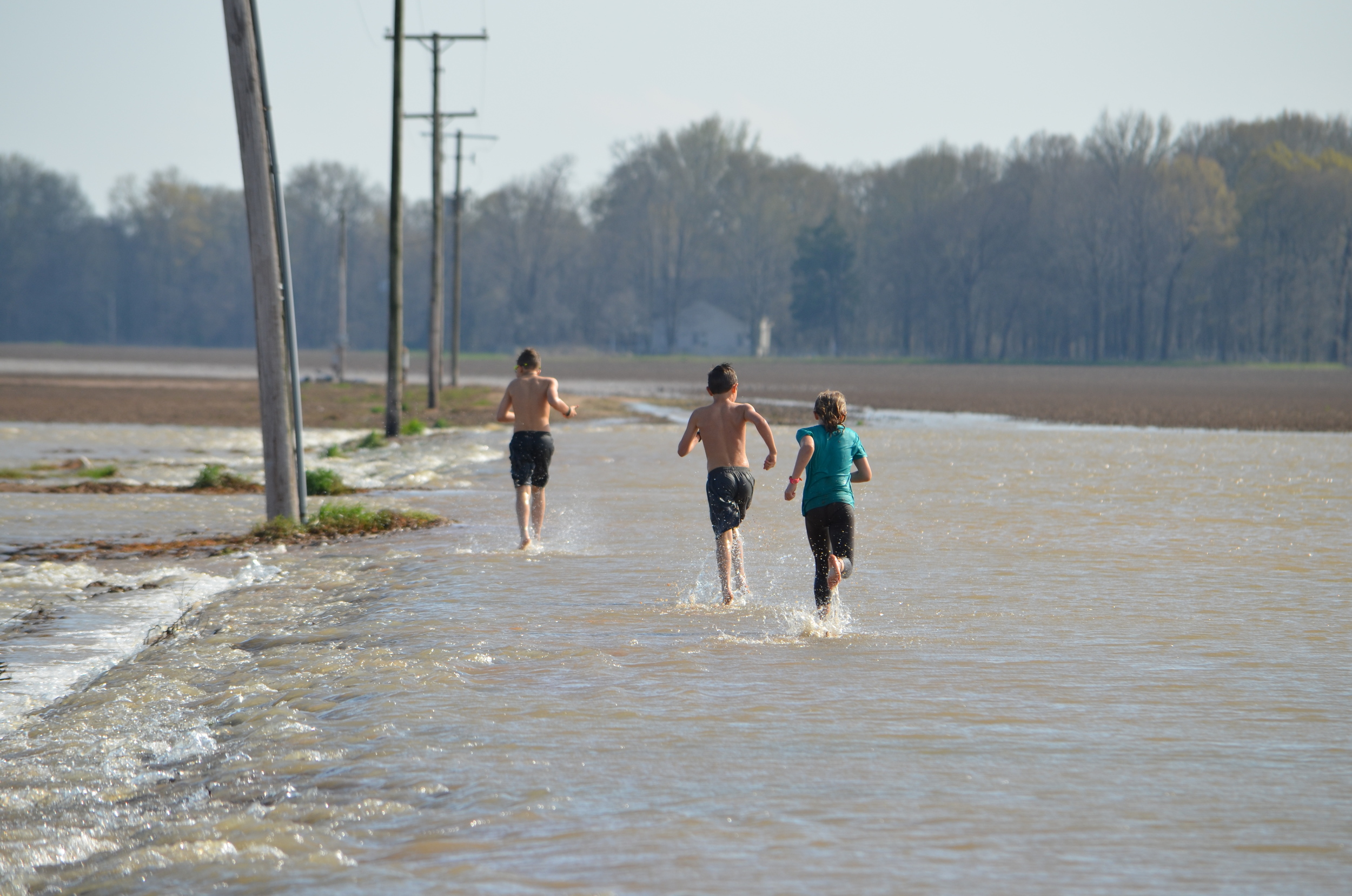 My kids running through the flooded cotton field. It's hard to imagine anything will be growing here in a few weeks.