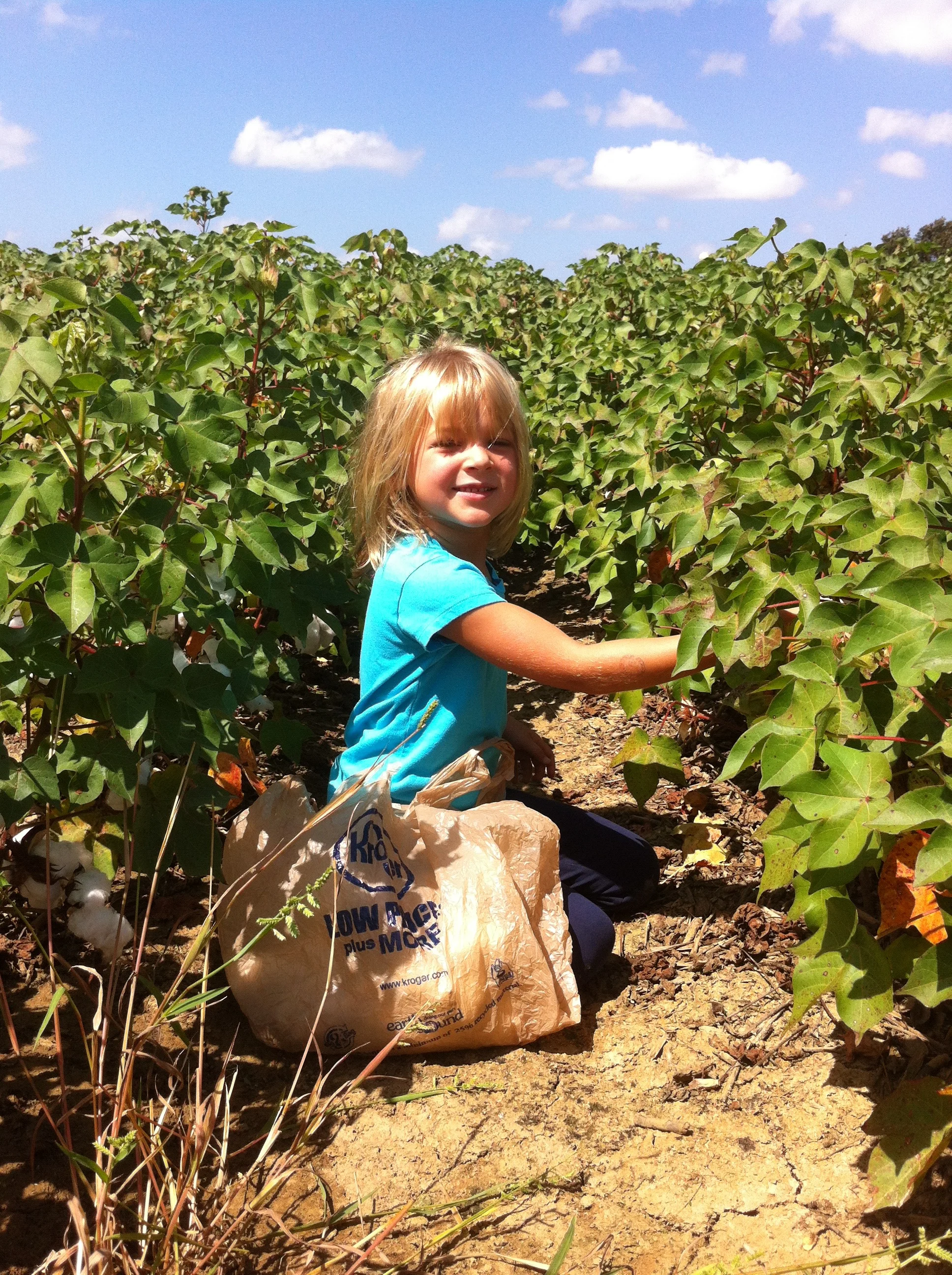 my daughter in a field of mature cotton