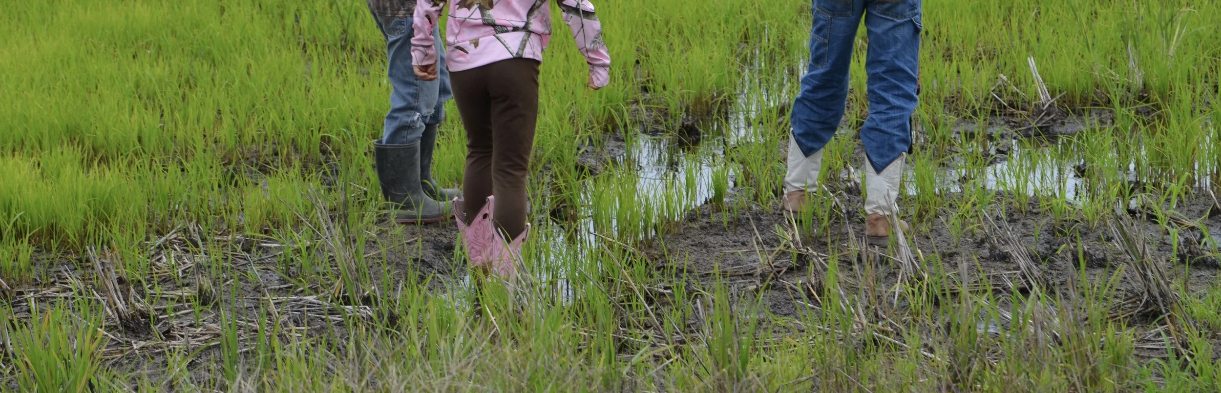 standing in a rice field