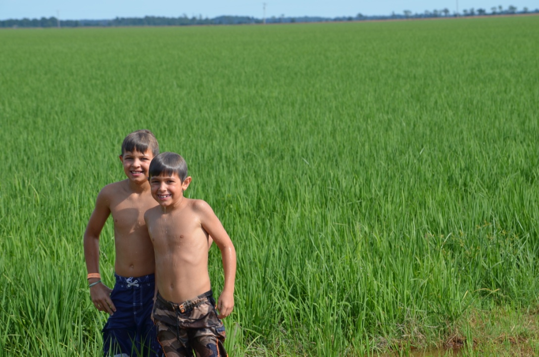 my boys in a zero grade rice field