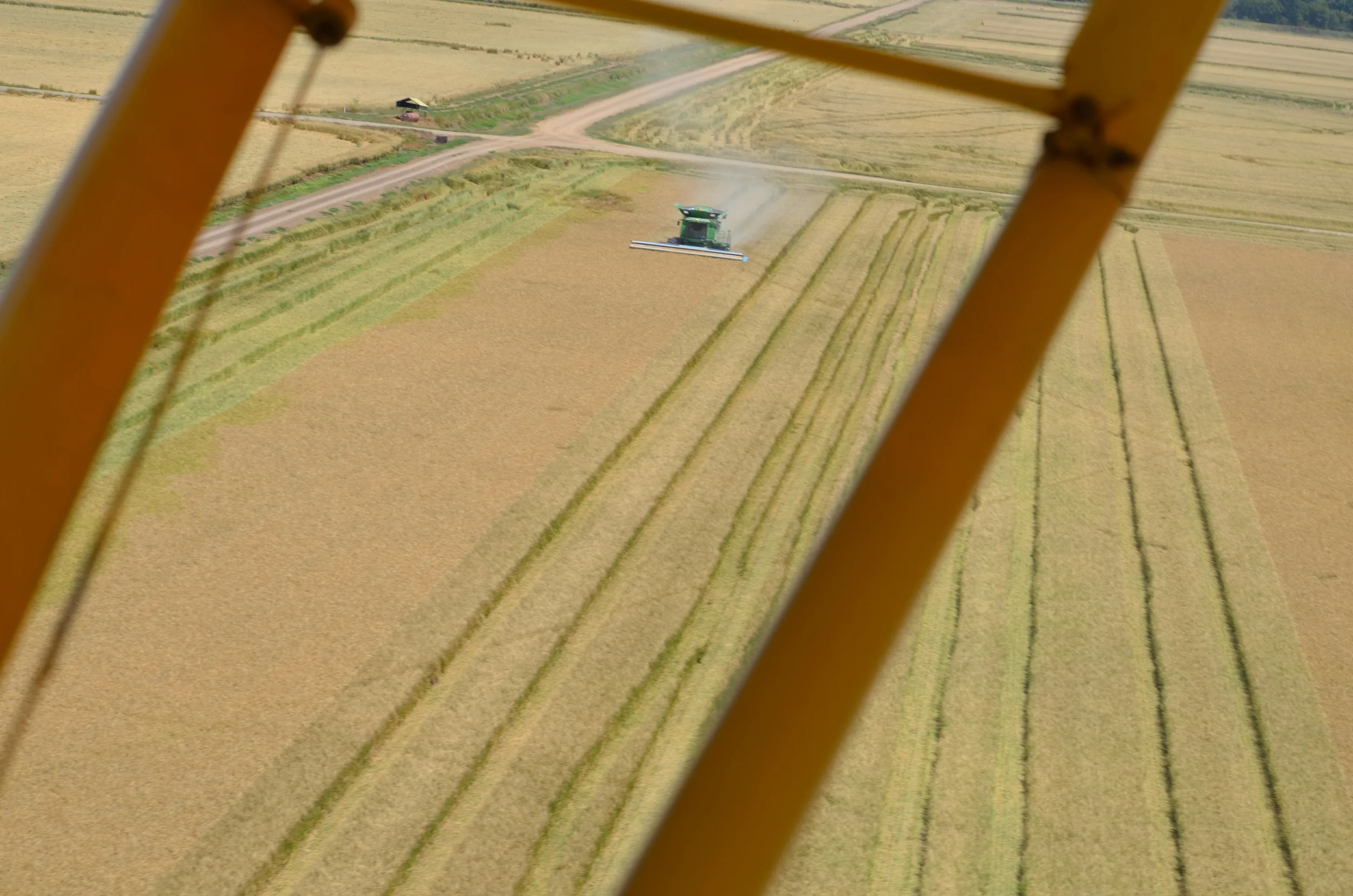 observing our rice harvest from a plane
