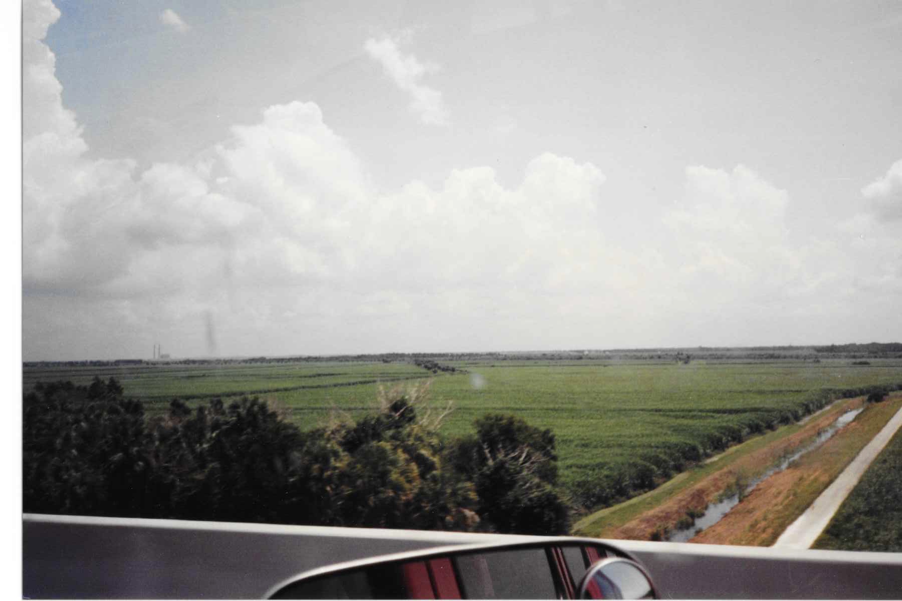 Looking out the window of my dad's truck when I was young
